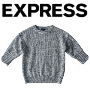 Express Knit Sweater